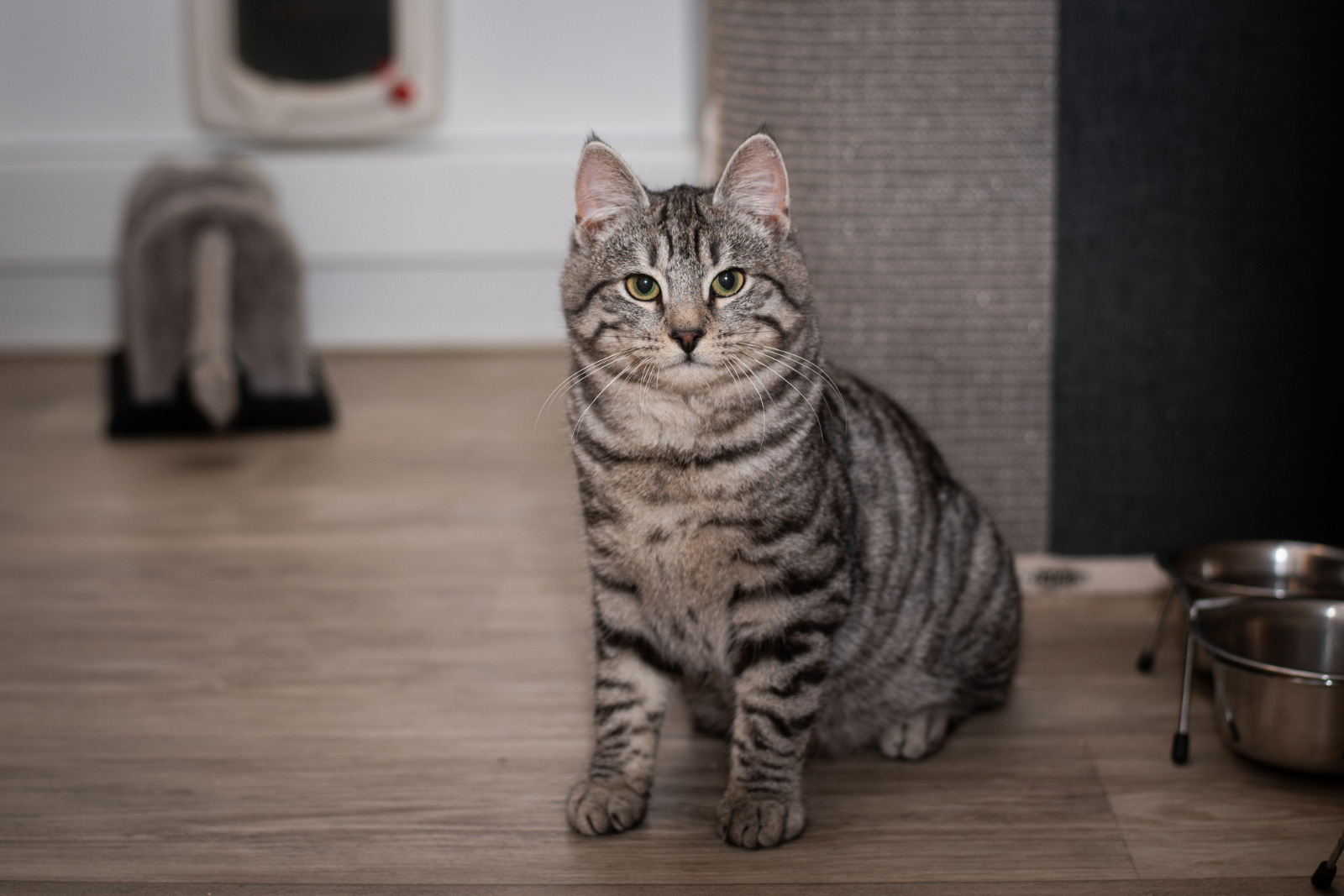 WhatsApp Image 2026-01-11 at 18.16.21(2) Mexi_4425